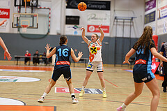 Basketball Damen Supercup 2024/25, 4.Runde BK Duchess Klosterneuburg vs. Vienna Timberwolves


