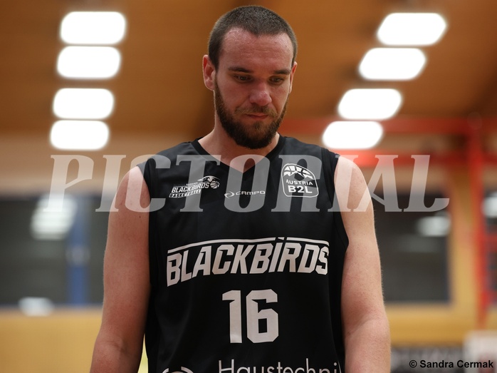 Basketball Zweite Liga 2024/25, Grunddurchgang 11.Runde Traiskirchen Lions NextGen vs. Güssing Blackbirds