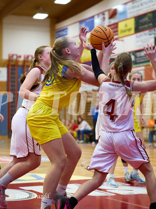 Basketball Superliga 2024/25, SLWU16 Traiskirchen Lionesses vs. UBBC Herzogenburg


