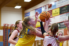 Basketball Superliga 2024/25, SLWU16 Traiskirchen Lionesses vs. UBBC Herzogenburg


