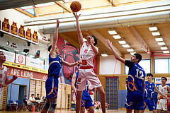 Basketball Superliga 2024/25, SLMU16 Traiskirchen Lions vs. FCN Baskets Wels



