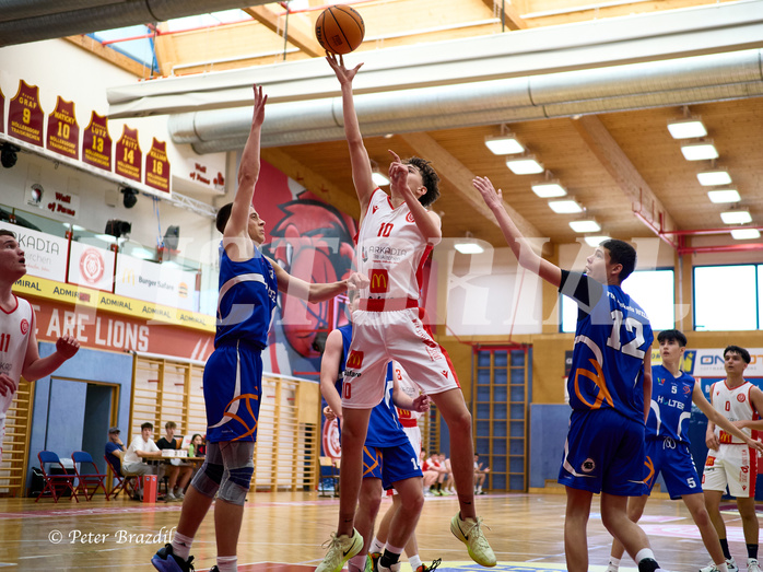 Basketball Superliga 2024/25, SLMU16 Traiskirchen Lions vs. FCN Baskets Wels


