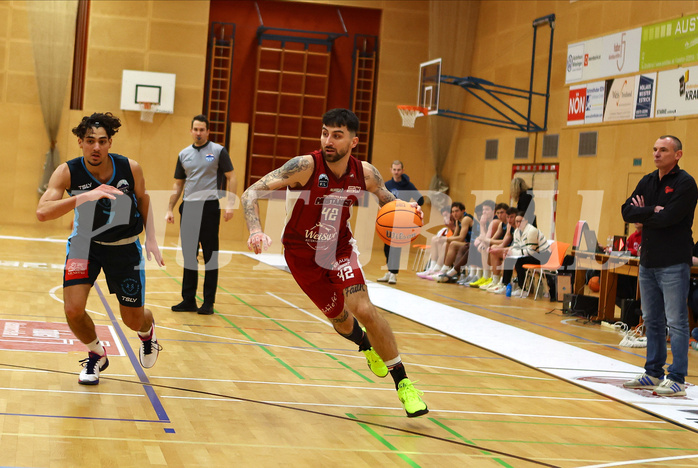 Basketball Zweite Liga 2024/25, Grunddurchgang 15.Runde Mistelbach Mustangs vs. Vienna Timberwolves