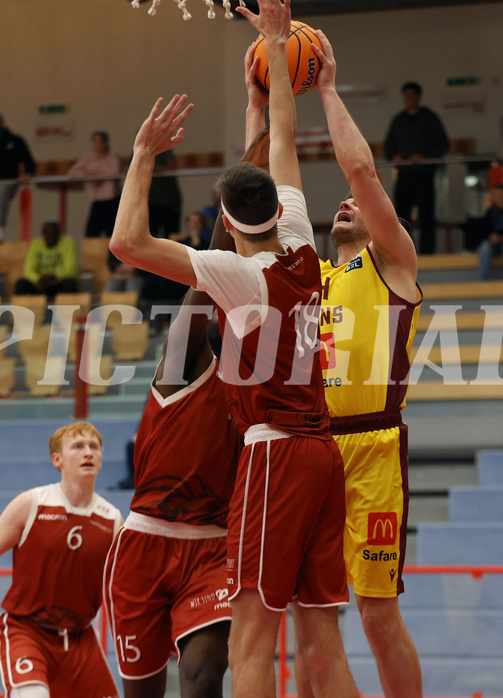 Basketball Zweite Liga 2024/25, Grunddurchgang 1.Runde Traiskirchen Lions NextGen vs. Future Team Steiermark


