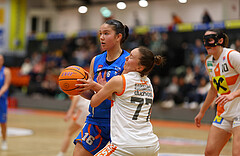 Basketball Damen Supercup 2024/25, Finale Duchess Klosterneuburg vs. DBB Wels


