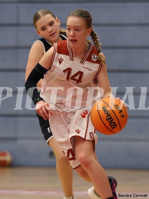 Basketball Superliga 2024/25, SLWU14 Traiskirchen Lionesses vs. ATUS Gratkorn Scorpions


