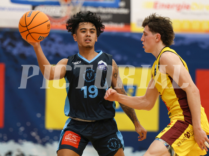 Basketball Zweite Liga 2024/25, Grunddurchgang 1.Runde Traiskirchen Lions NextGen vs. Vienna Timberwolves


