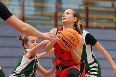 Basketball Superliga 2024/25, SLWU14 Traiskirchen Lionesses vs. UBI Graz


