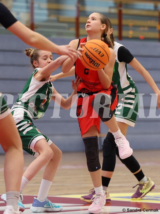 Basketball Superliga 2024/25, SLWU14 Traiskirchen Lionesses vs. UBI Graz


