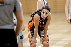 23.02.2025 Österreichischer Basketballverband 2024/25, SLWU16 Vienna Timberwolves vs. Basket Duchess