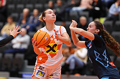Basketball Damen Supercup 2024/25, 4.Runde BK Duchess Klosterneuburg vs. Vienna Timberwolves


