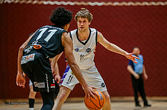 Basketball Zweite Liga 2024/25, Grunddurchgang 15.Runde Vienna United vs. Mattaersburg Rocks


