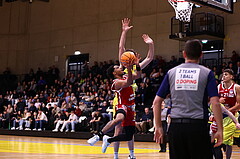 31.01.2025, Graz, Raiffeisen Sportpark Graz, Basketball Superliga 2024/25, Grunddurchgang, Runde 19, UBSC Graz - BC Vienna
