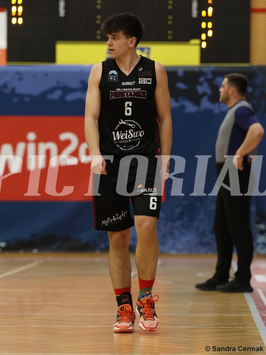 Basketball Zweite Liga 2024/25, Grunddurchgang 22.Runde Traiskirchen Lions NextGen vs. Mistelmach Mustangs