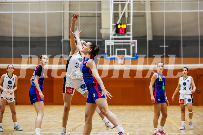 Basketball, Win2Day Basketball Damen Superliga 2024/25, Grunddurchgang 10.Runde, Vienna Timberwolves, UBSC DBBC Graz, Lea Feitl (33)