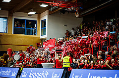 Basketball, Basketball Austria CUP 2023/24, Finale, Traiskirchen Lions, Flyers Wels, feature, fans