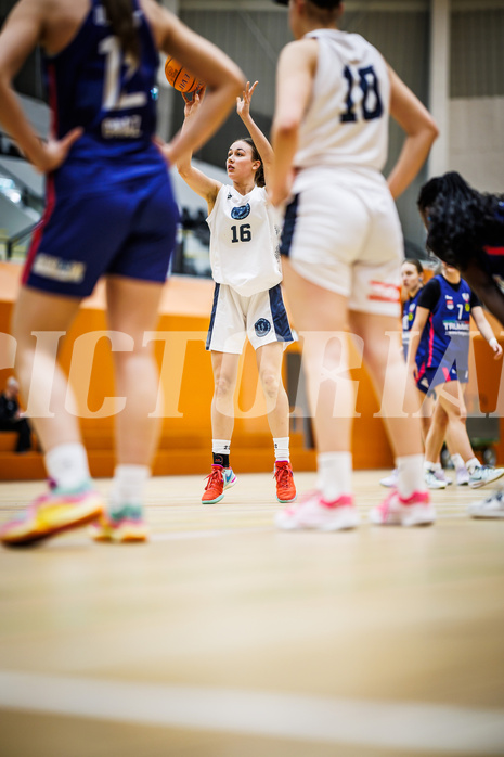 Basketball, SLWU19 Basketball Damen Superliga 2024/25, Vienna Timberwolves, DBB LZ OÖ, 