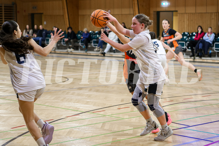 23.02.2025 Österreichischer Basketballverband 2024/25, SLWU16 Vienna Timberwolves vs. Basket Duchess