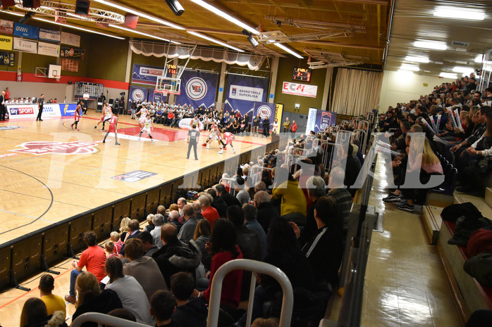 Basketball Superliga 2019/20, Grunddurchgang 18. Runde Flyers Wels vs. Gmunden Swans
Basketball Superliga 2019/20, Grunddurchgang 18. Runde Flyers Wels vs. Gmunden Swans