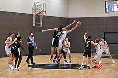 Basketball Zweite Liga 2024/25,Grunddurchgang
14.Runde, Upper Austrian Ballers vs Raiders Tirol,

