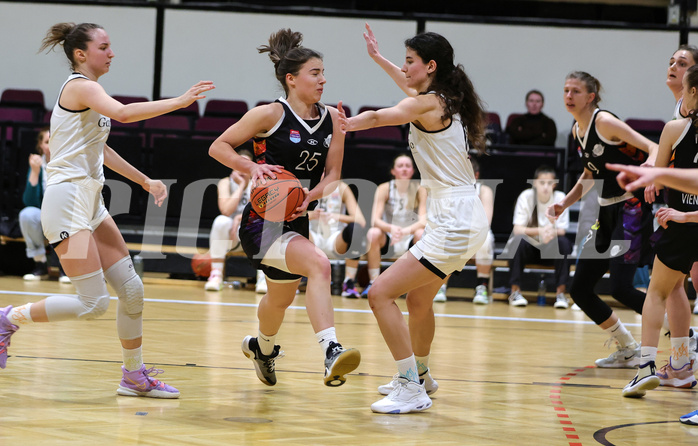 Basketball Damen Superliga 2022/23, Grunddurchgang 14.Runde Basket Flames vs. Vienna United


