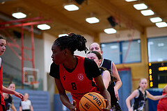 Basketball Superliga 2024/25, SLMU16 Traiskirchen Lionesses vs. VKL Vikings Kammer


