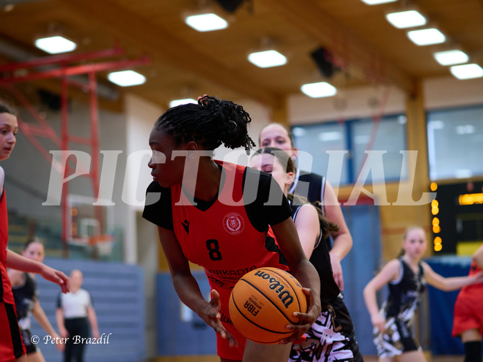 Basketball Superliga 2024/25, SLMU16 Traiskirchen Lionesses vs. VKL Vikings Kammer


