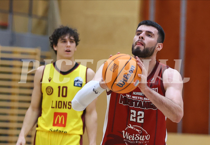 Basketball Zweite Liga 2024/25, Grunddurchgang 9.Runde Mistelbach Mustangs vs. Trasikirchen NextGen