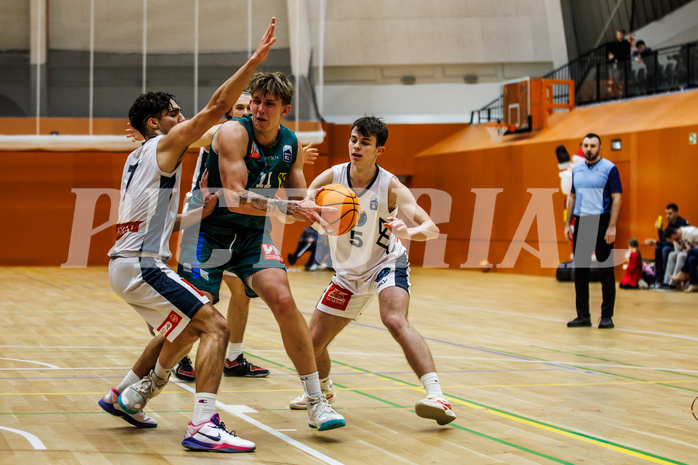 Basketball, Basketball Zweite Liga 2024/25, Grunddurchgang 12.Runde, Vienna Timberwolves, Dornbirn Lions, Armin Karian (7), Davids Grinbergs (11), Jakob Konzet (5)