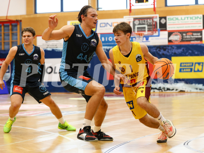 Basketball Zweite Liga 2024/25, Grunddurchgang 1.Runde Traiskirchen Lions NextGen vs. Vienna Timberwolves


