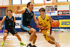 Basketball Zweite Liga 2024/25, Grunddurchgang 1.Runde Traiskirchen Lions NextGen vs. Vienna Timberwolves


