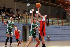 Basketball Superliga 2024/25, SLWU14 Traiskirchen Lionesses vs. UBI Graz


