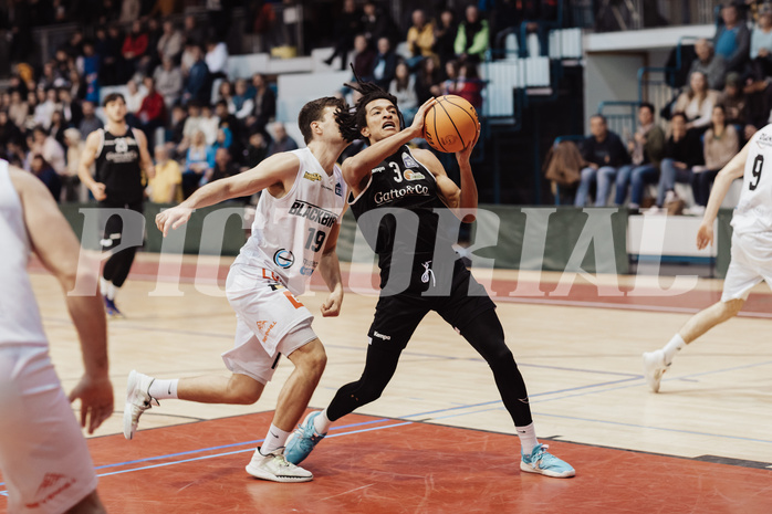 Basketball, Basketball Zweite Liga 2023/24, Grunddurchgang 14.Runde, Blackbirds G