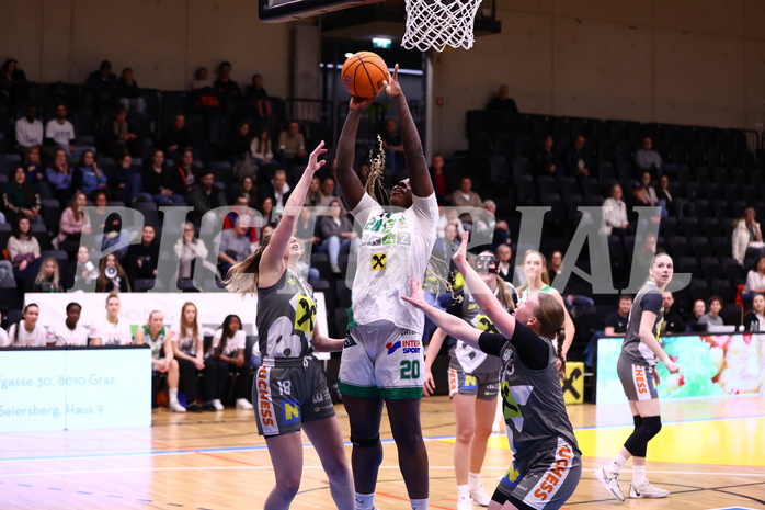 02.03.2025, Graz, Raiffeisen Sportpark, Basketball Damen Superliga 2024/25, Grunddurchgang, 14.Runde, UBI Graz vs. Klosterneuburg Duchess,  