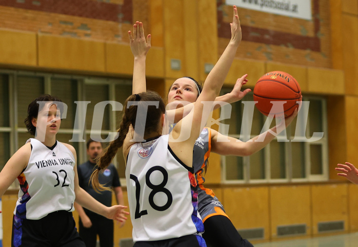 Basketball Damen Superliga 2022/23, Grunddurchgang 8.Runde Vienna United vs. BK Duchess


