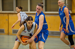 Basketbal lAustria Cup 2024/25, Viertelfinale Vienna United vs. DBB Wels


