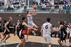 Basketball Zweite Liga 2024/25,Grunddurchgang
14.Runde, Upper Austrian Ballers vs Raiders Tirol,

