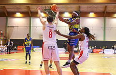 Basketball Superliga 2024/25, Grunddurchgang 16.Runde SKN St. Pölten vs. UBSC Graz


