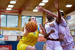 Basketball Superliga 2024/25, SLWU16 Traiskirchen Lionesses vs. UBBC Herzogenburg


