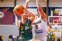 Basketball 2. Liga 2023/24, Grunddurchgang 15.Runde , Güssing  vs. Dornbirn


