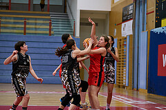 Basketball Superliga 2024/25, SLMU16 Traiskirchen Lionesses vs. VKL Vikings Kammer


