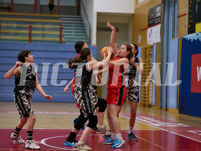 Basketball Superliga 2024/25, SLMU16 Traiskirchen Lionesses vs. VKL Vikings Kammer


