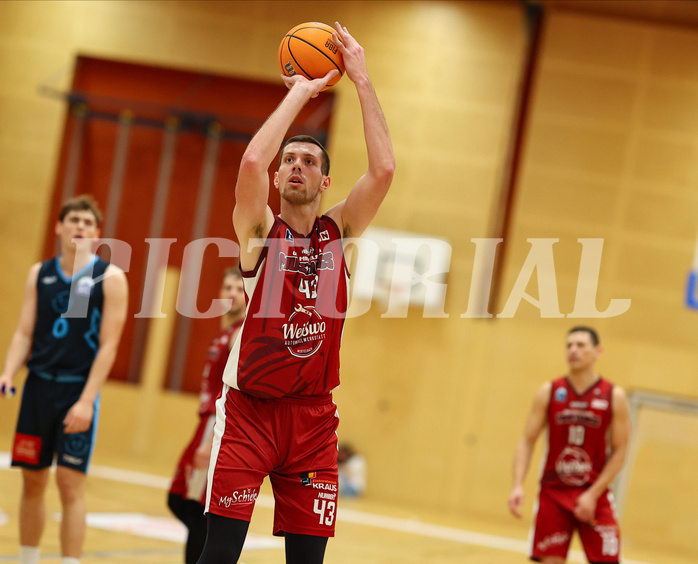Basketball Zweite Liga 2024/25, Grunddurchgang 15.Runde Mistelbach Mustangs vs. Vienna Timberwolves