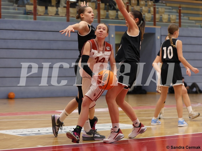 Basketball Superliga 2024/25, SLWU14 Traiskirchen Lionesses vs. ATUS Gratkorn Scorpions


