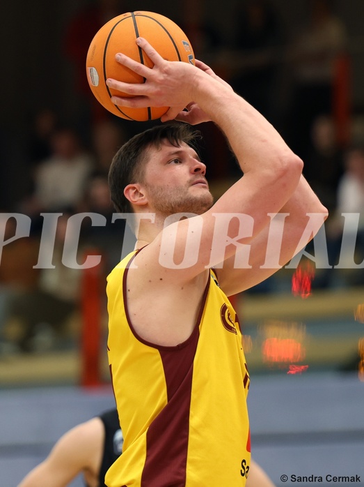 Basketball Zweite Liga 2024/25, Grunddurchgang 22.Runde Traiskirchen Lions NextGen vs. Mistelmach Mustangs