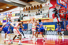 Basketball, Win2Day Superliga 2024/25, Playoffs, Halbfinale Spiel 2, Traiskirchen Lions, Oberwart Gunners, Benedikt Güttl (7)