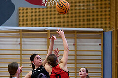 Basketball Superliga 2024/25, SLWU14 Traiskirchen Lionesses vs. Gratkorn Scorpions


