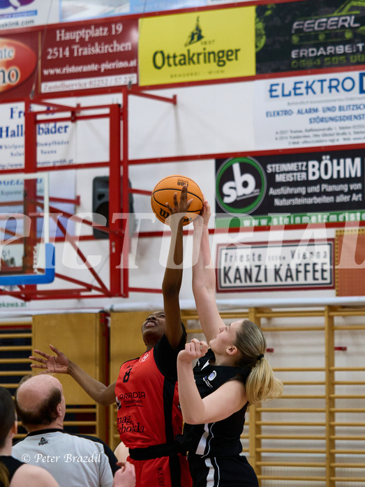 Basketball Superliga 2024/25, SLWU16 Traiskirchen Lionesses vs. BBC Nord Dragons


