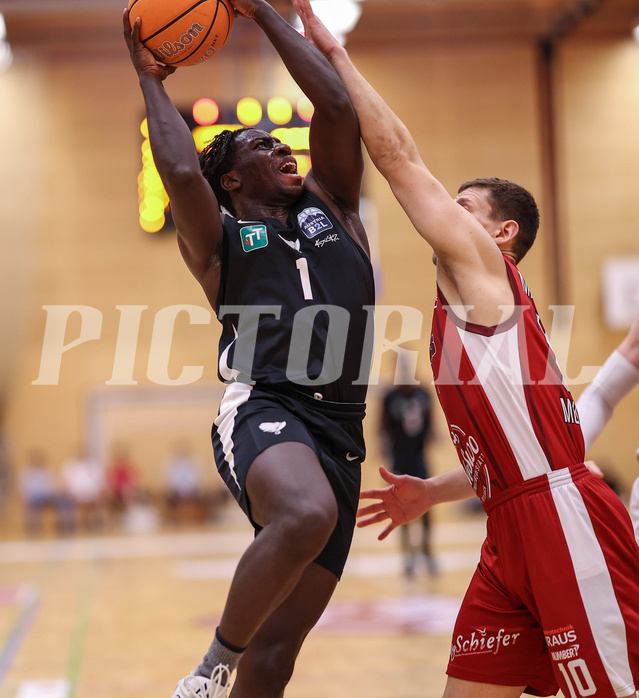 Basketball Zweite Liga 2024/25, Grunddurchgang 21.Runde Mistelbach Mustangs vs. Raiders Tirol


