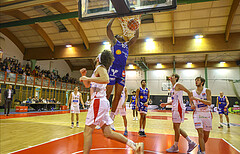 Basketball Superliga 2024/25, Grunddurchgang 7.Runde SKN St. Pölten vs. Oberwart Gunners


